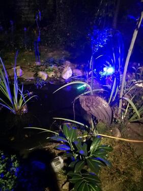 Foto - andere zur Miete in Lübeck