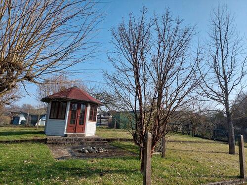 Foto - Gartengrundstück zu vermieten - 50,00&nbsp;EUR Kaltmiete, ca.&nbsp; 0,00&nbsp;m&sup2;