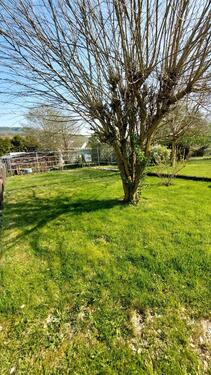 Foto - Grundst&uuml;ck in Staufenberg