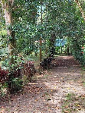 Foto - Einfamilienhaus zum Kaufen in Horst (Holstein)