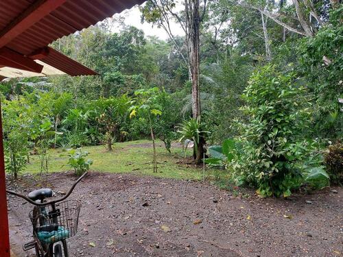 Foto - Einfamilienhaus in Horst (Holstein)