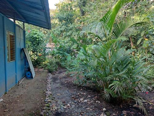 Foto - Einfamilienhaus in Horst (Holstein) zum Kaufen