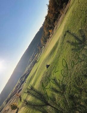 Foto - Gemütliche 2 ZKB Stellplatz, Nähe Taunusstein