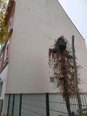 Foto - Haus Top Lage, Zentral mit Garagen, Hallen, ideal für Gewerbe