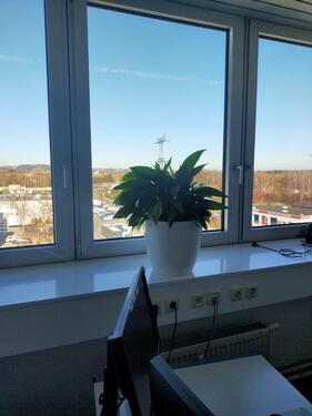 Foto - Schöne helle und moderne Büroräume in Zwickau zu vermieten