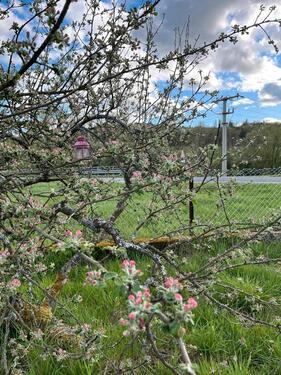 Foto - Grundst&uuml;ck zur Miete in Aßlar