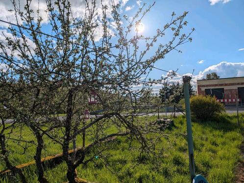 Foto - Grundst&uuml;ck in Aßlar zur Miete