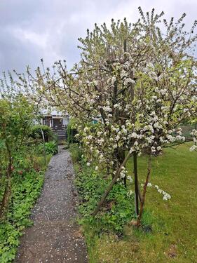 Foto - Grundst&uuml;ck in Salzgitter zur Miete