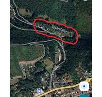 Pachtgarten - 4.000,00&nbsp;EUR Kaltmiete, ca.&nbsp; 0,00&nbsp;m&sup2; in Rudolstadt (PLZ: 07407)