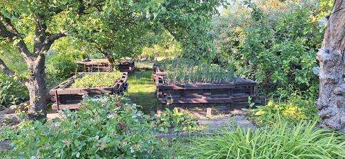 Foto - Grundst&uuml;ck in Rostock