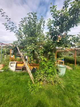 Foto - Grundstück in Beeskow