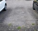 Foto - Stellplatz - 50,00 EUR Miete,