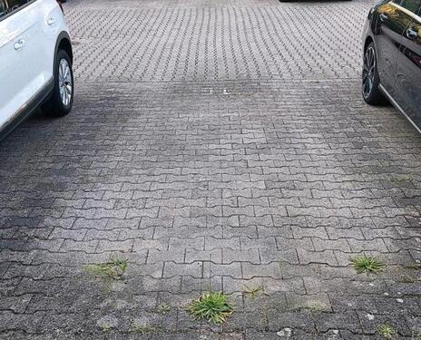 Foto - Stellplatz - 50,00 EUR Miete,