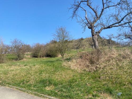 Foto - 4 Zimmer Etagenwohnung in Bisingen