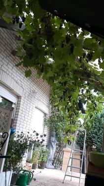 Foto - Einfamilienhaus - 320.000,00&nbsp;EUR Kaufpreis, ca.&nbsp; 168,00&nbsp;m&sup2;