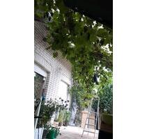 Einfamilienhaus - 320.000,00&nbsp;EUR Kaufpreis, ca.&nbsp; 168,00&nbsp;m&sup2; in Warburg (PLZ: 34414)