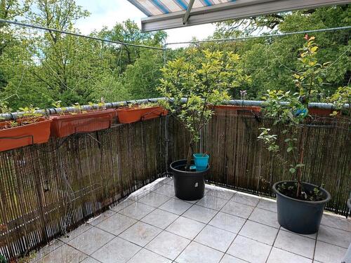 Foto - Traumwohnung im grünen mit großer Terrasse