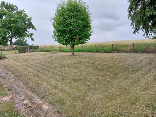 Foto - Einfamilienhaus in Dassel zum Kaufen