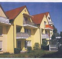 Wohnung in Eggenfelden ab sofort zu vermieten - Dietersburg