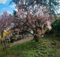 Schöne nette 2 Zi. Wohnung in Lustnau, nähe Wilhelmstraße - Tübingen