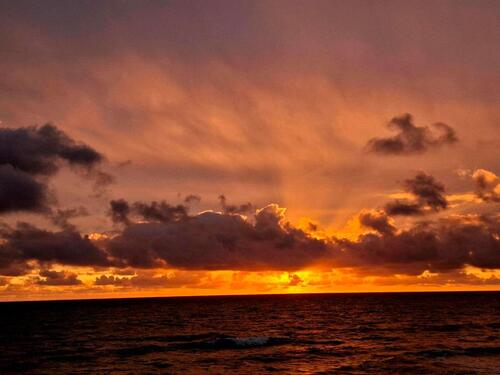 Foto - 4 Zimmer Reihenhaus in Sylt