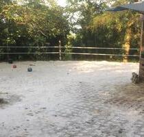 Gartengrundstück Mietgarten Pferde Offenstall Tierhaltung Anbau - Amöneburg