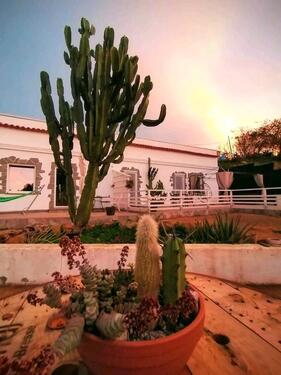 Foto - Einzigartiges Anwesen im Parque Rural de Doramas, Gran Canaria