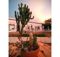 Einzigartiges Anwesen im Parque Rural de Doramas, Gran Canaria - Berlin Lichtenberg