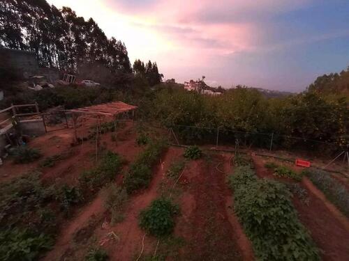 Foto - Einfamilienhaus in Berlin zum Kaufen