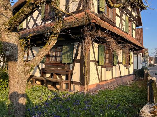 Foto - 9 Zimmer Mehrfamilienhaus, Wohnhaus in Rheinstetten