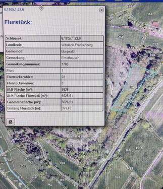 Foto - Waldstück Ausgleichsfläche 56 a
