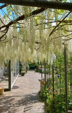 Foto - Grüne Oase mit perfekter Infrastruktur