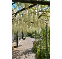 Grüne Oase mit perfekter Infrastruktur - Freudenberg