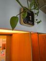 Foto - andere zur Miete in Leipzig