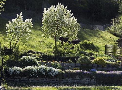 Foto - Einfamilienhaus in Nagold zum Kaufen