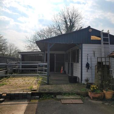 Foto - 3 Zimmer Mehrfamilienhaus, Wohnhaus in Meißenheim