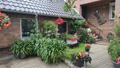 Foto - Kleine, ruhige Fereinwohnung im Seebad Bansin