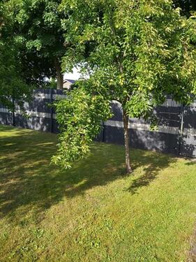 Foto - Einfamilienhaus in Saterland zum Kaufen