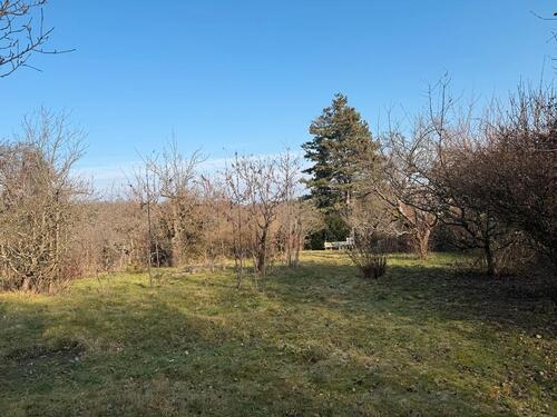 Foto - Garten in Bad Soden im Rothen Berg zu vermieten
