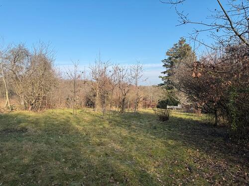 Foto - Grundst&uuml;ck zur Miete in Bad Soden am Taunus