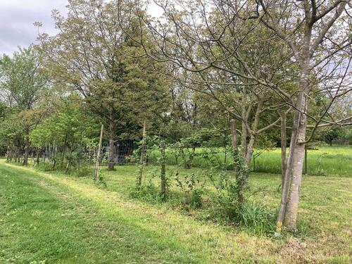 Foto - Grundst&uuml;ck in Kirchheim unter Teck