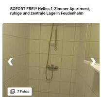 Helles 1 Zimmer Apartment in Mannheim-Feudenheim