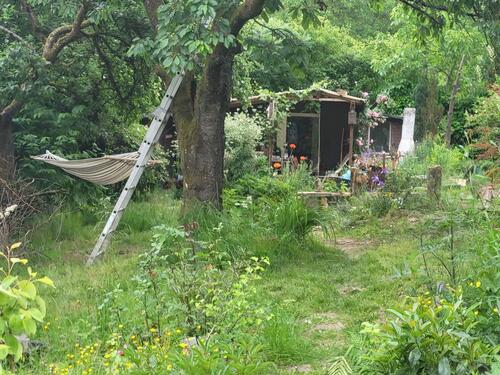 Foto - Grundst&uuml;ck in Oberursel (Taunus) zur Miete