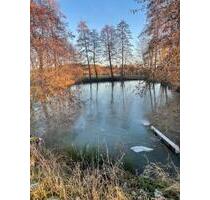 Angelsee, Angelweiher, Fischweiher - Schnelldorf