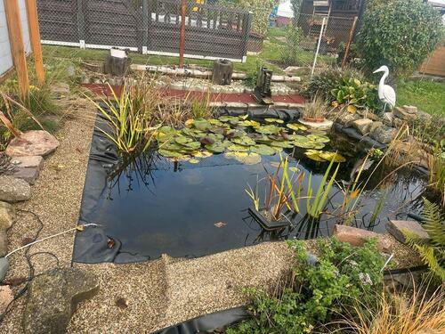 Foto - kleingarten in molbitz - 1.000,00 EUR Kaltmiete, ca.  0,00 m²