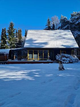 Foto - Ferienhaus am Wald in Wulsbüttel Hundeurlaub Urlaub mit Hund