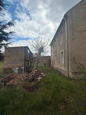 Foto - 7 Zimmer Einfamilienhaus in Dresden