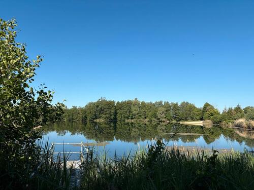 Foto - Lokal Gaststätte am See mit großem Biergarten