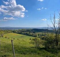 GRUNDSTÜCK ALLEINLAGE WALD QUELLE PFERDE WIESE ACKER - Bad Salzungen