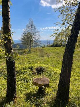 Foto - Grundst&uuml;ck zur Miete in Bad Salzungen